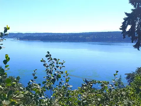 10503 Seaview Dr, Anderson Island, WA 98303