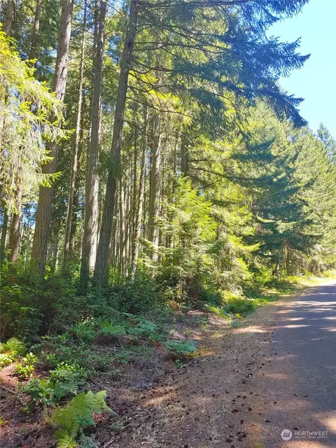 11004 11012 Spruce Dr, Anderson Island, WA 98303