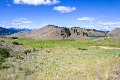 218 Balky Hill Rd, Twisp, WA 98856 photo 24