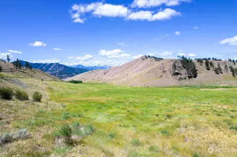 218 Balky Hill Rd, Twisp, WA 98856 photo 5