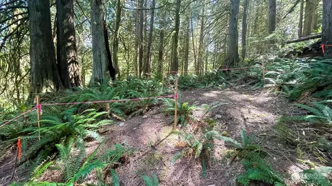 6 Tumbling Water Dr, Bellingham, WA 98229