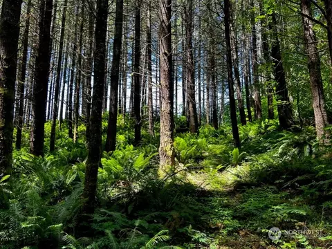 111 Marjorie Ln, White Pass, WA 98377
