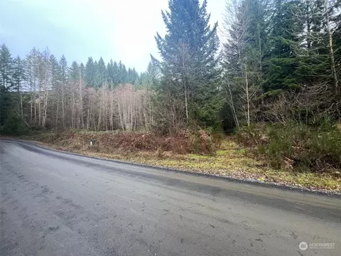 126 Cropsey Dr, Randle, WA 98377