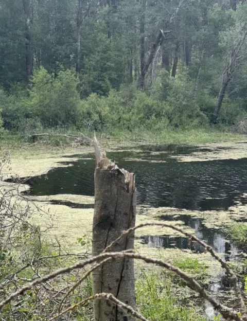 1001 S 8th, Medical Lake, WA 99022