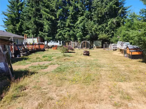 406 Queen Ave, Pe Ell, WA 98572 photo 24