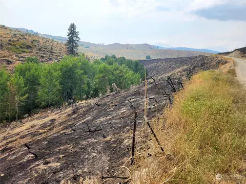 835 Tbd Ellemeham Mountain Rd, Oroville, WA 98844