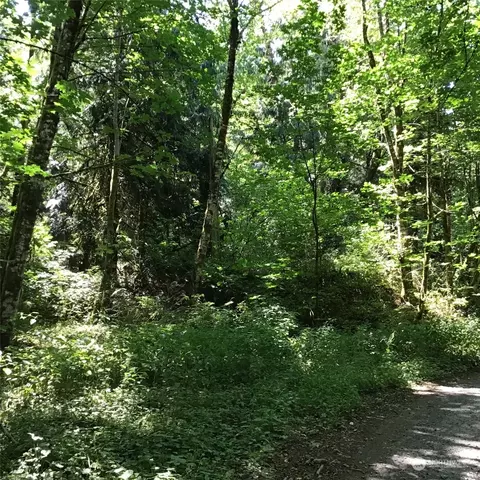 0 196th Ave E, Orting, WA 98360