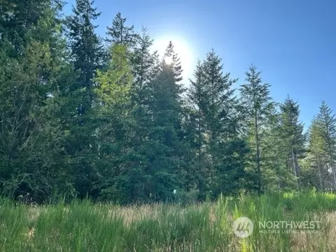 0 NW Clark Ave, Winlock, WA 98596
