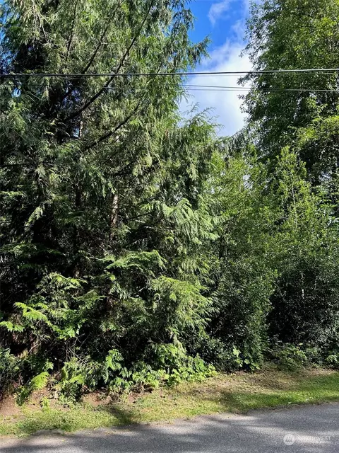 18002 Shuksan Rim Dr, Glacier, WA 98244