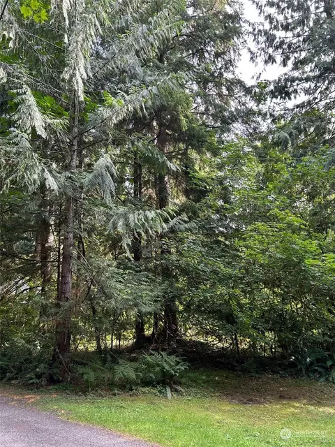 18032 Welcome Rd, Glacier, WA 98244