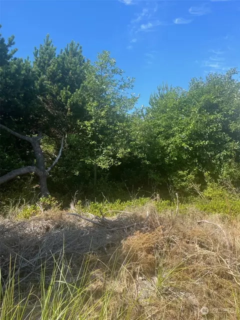32116 G Pl, Ocean Park, WA 98640
