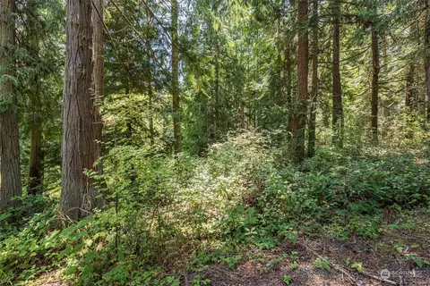 23 Bugge Rd, Sequim, WA 98382 photo 23