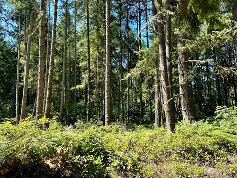 10928 118th Avenue Ct, Anderson Island, WA 98303