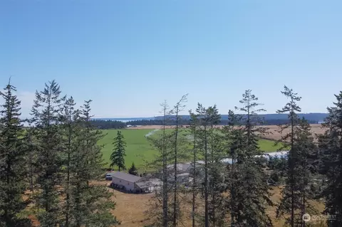 153 Delta Way, Sequim, WA 98382 photo 3