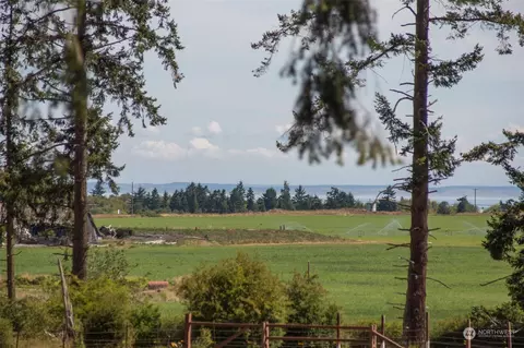 153 Delta Way, Sequim, WA 98382 photo 40