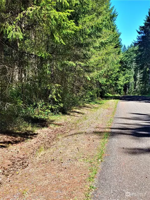 11511 Breaker Wy Rd, Anderson Island, WA 98303