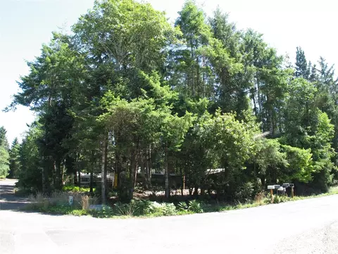 1406 321st Pl, Ocean Park, WA 98640