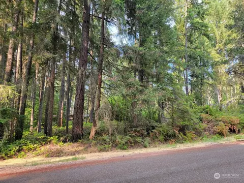 10910 Maple Pl, Anderson Island, WA 98303