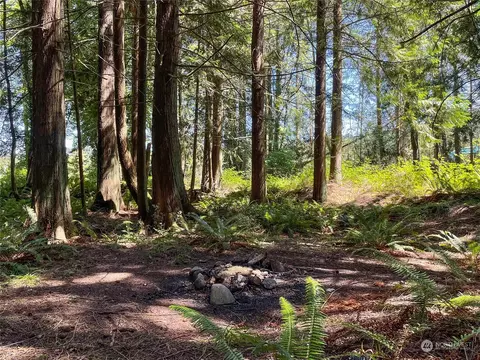104 Waldo Rd, Sequim, WA 98382 photo 39