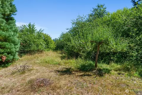 15838 Vail Loop SE, Rainier, WA 98576 photo 22