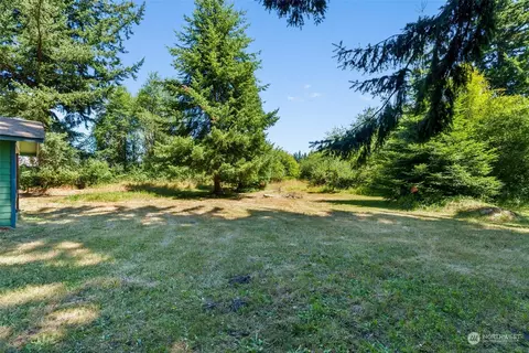 15838 Vail Loop SE, Rainier, WA 98576 photo 20