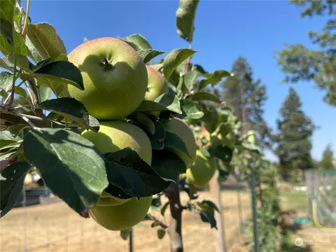 24 Fairgrounds Rd, Pomeroy, WA 99347 photo 32