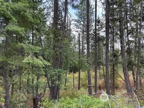 1234 Orin Rice Rd, Addy, WA 99114