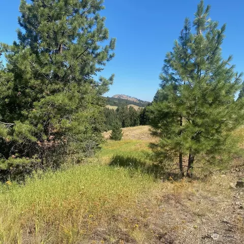 147 Myers Creek Rd, Oroville, WA 98844