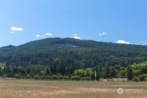 0 9999 Grey Hawk Ln, Sequim, WA 98382 photo 11