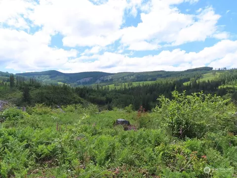 0 Lot 2 L-1100 Rd, Yacolt, WA 98675