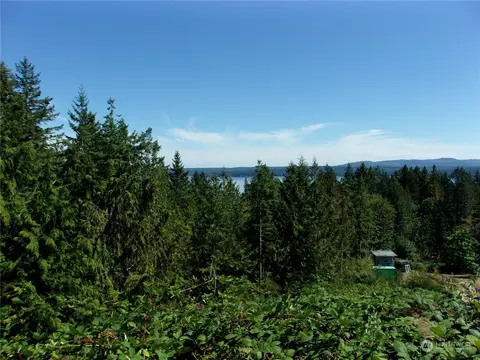 188 Dusty Rd, Brinnon, WA 98320