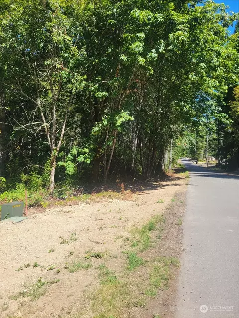 930 E Wilson Way, Grapeview, WA 98546 photo 17