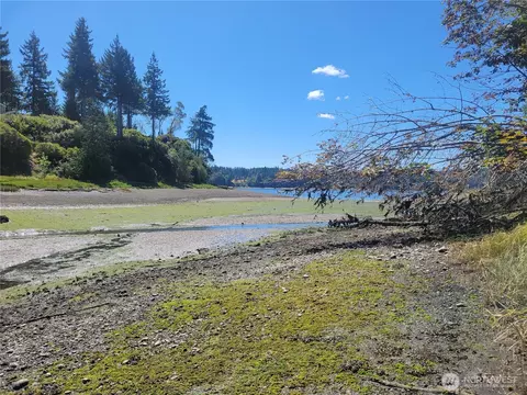 930 E Wilson Way, Grapeview, WA 98546 photo 26