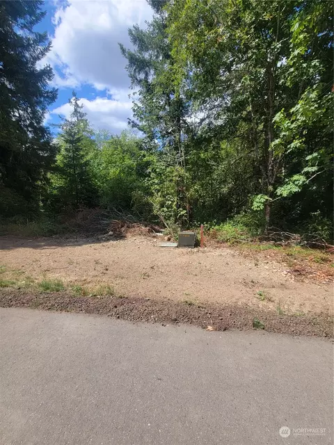930 E Wilson Way, Grapeview, WA 98546 photo 13