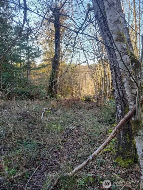 930 E Wilson Way, Grapeview, WA 98546 photo 25