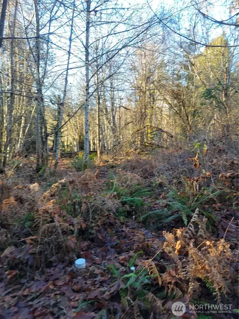 930 E Wilson Way, Grapeview, WA 98546 photo 22