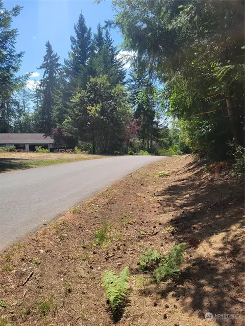 930 E Wilson Way, Grapeview, WA 98546 photo 9