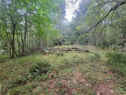 930 E Wilson Way, Grapeview, WA 98546 photo 2
