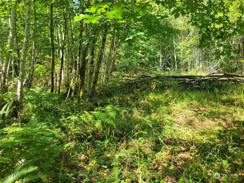 930 E Wilson Way, Grapeview, WA 98546 photo 8