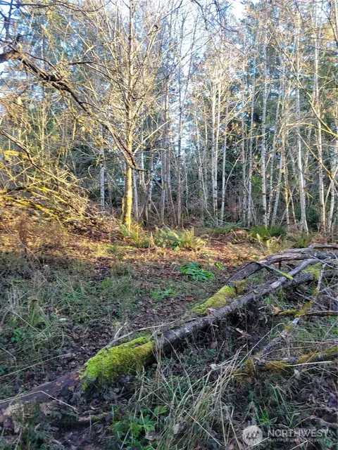 930 E Wilson Way, Grapeview, WA 98546 photo 24