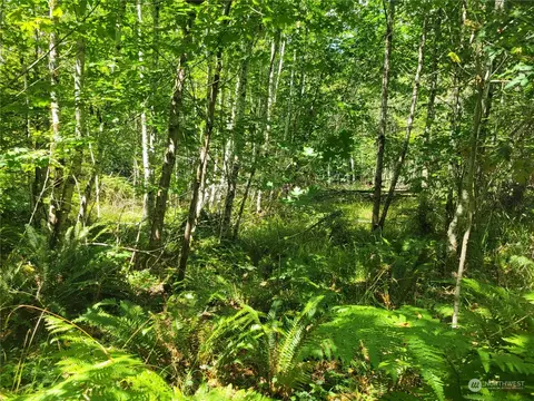 930 E Wilson Way, Grapeview, WA 98546 photo 6