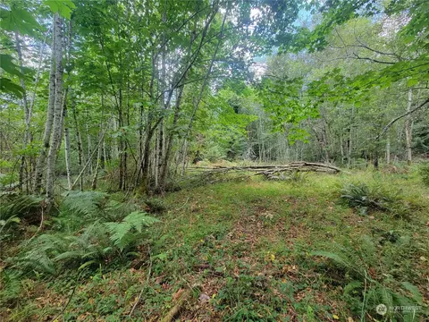 930 E Wilson Way, Grapeview, WA 98546 photo 16