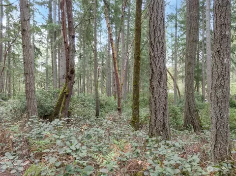 7126 80th St NW, Gig Harbor, WA 98335