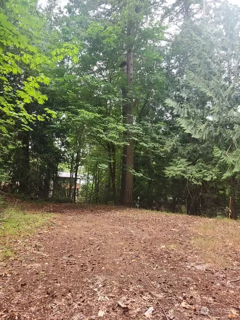 20 SE Young Ave, Shelton, WA 98584