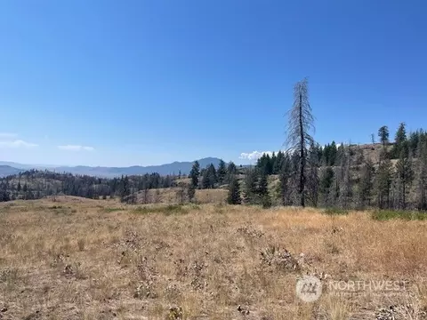 123 Tbd Eighme Rd, Oroville, WA 98844