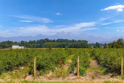 2875 Tom Rd, Everson, WA 98247 photo 38