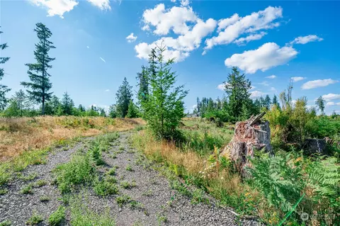 0 S Lot 8 S Silver Lake Rd, Castle Rock, WA 98611