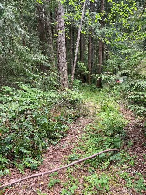 71 N Mt Washington Dr, Hoodsport, WA 98548