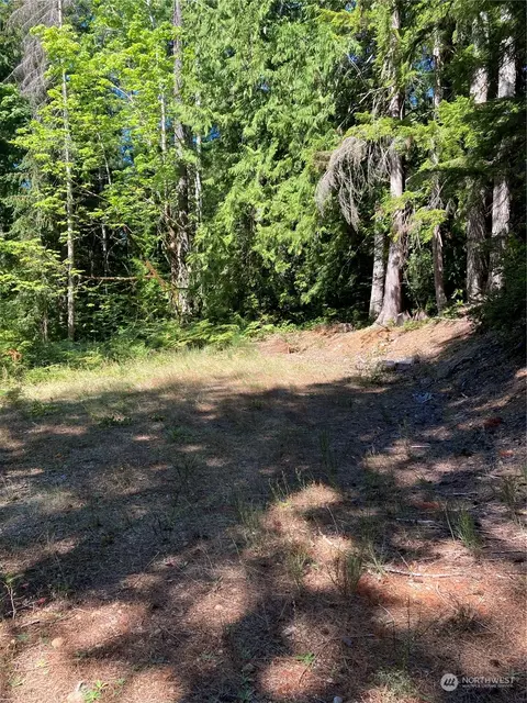 531 N Dow Mountain Rd, Hoodsport, WA 98548