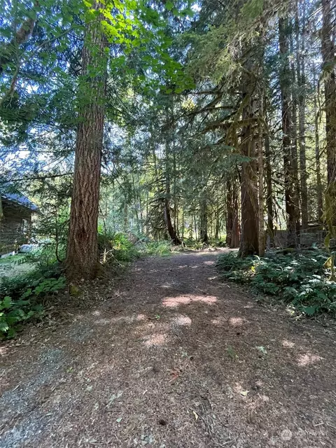 19009 Glacier Rim Dr, Glacier, WA 98244